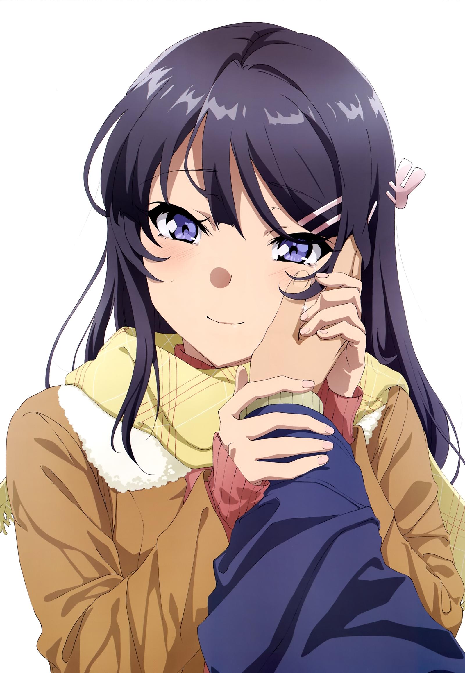 Seishun Buta Yarou