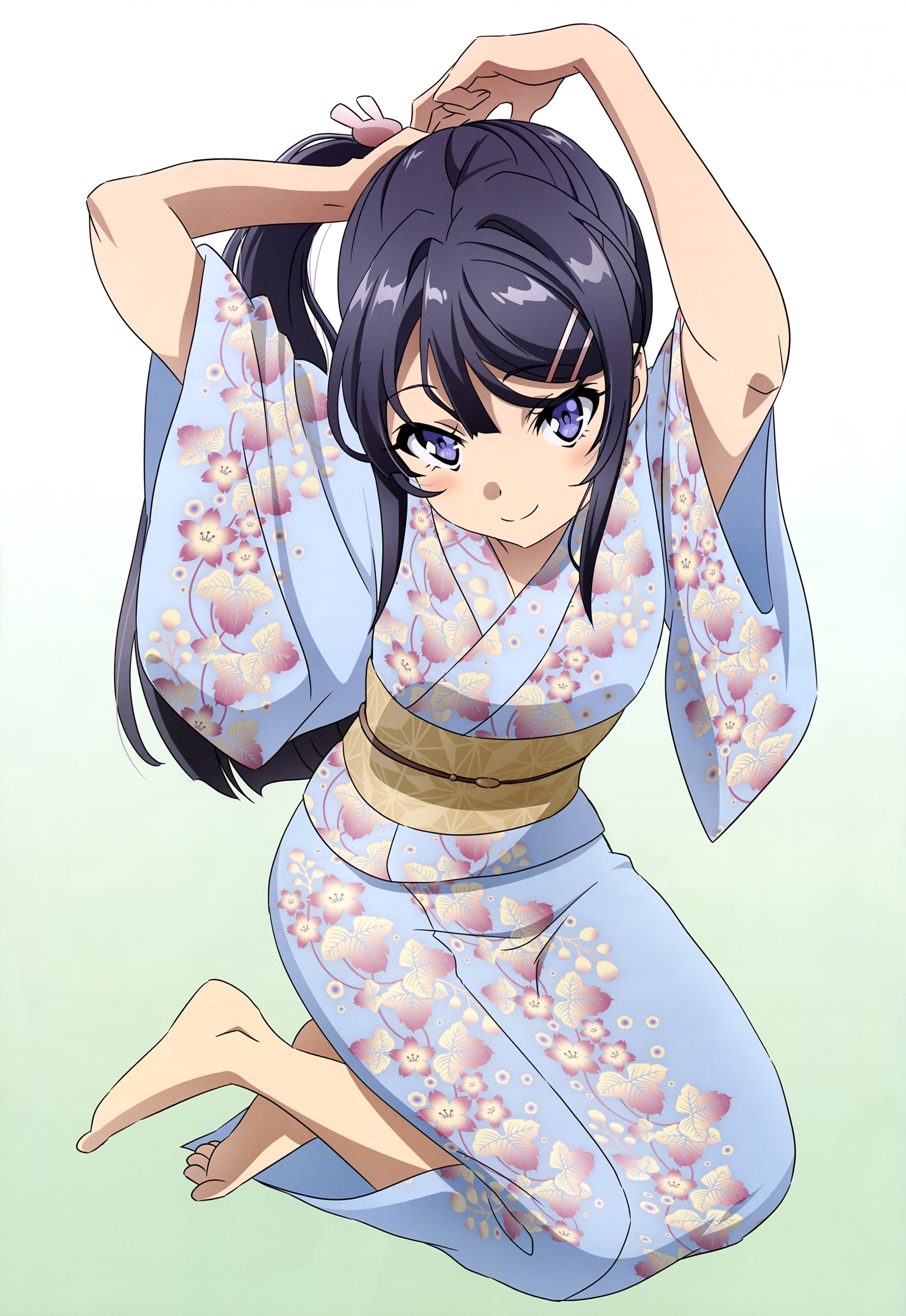 Seishun Buta Yarou Series