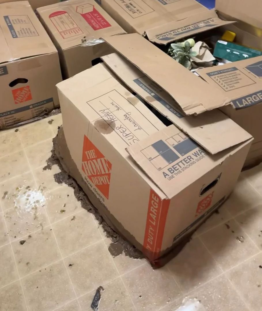 mceu-26743684611761717081287