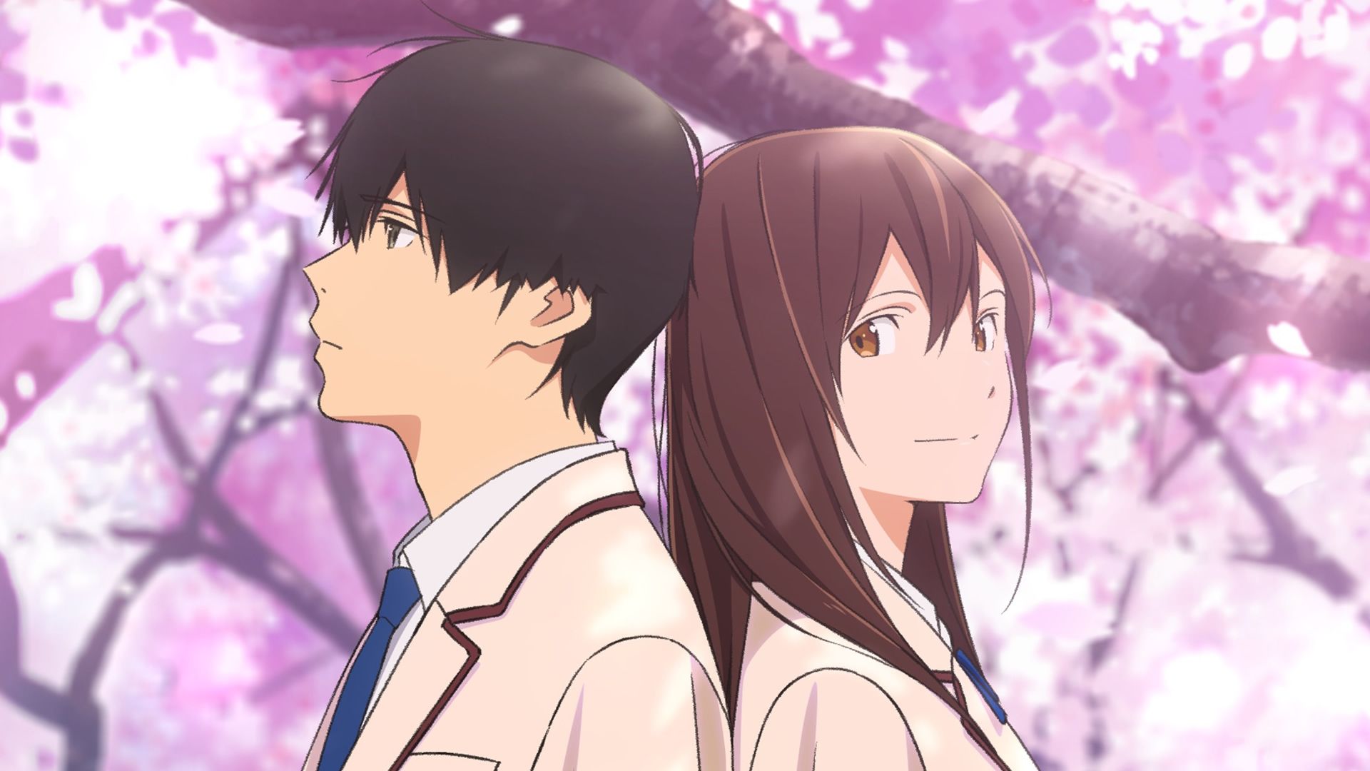 mceu-66785098681758297408056