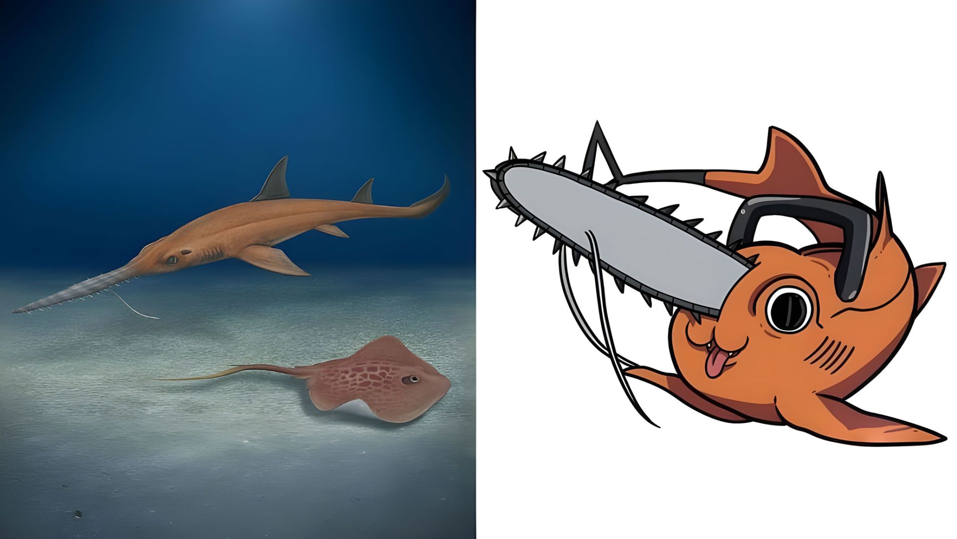 mceu-16321679511762611637984