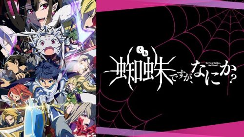 It's a spider, but what is it?