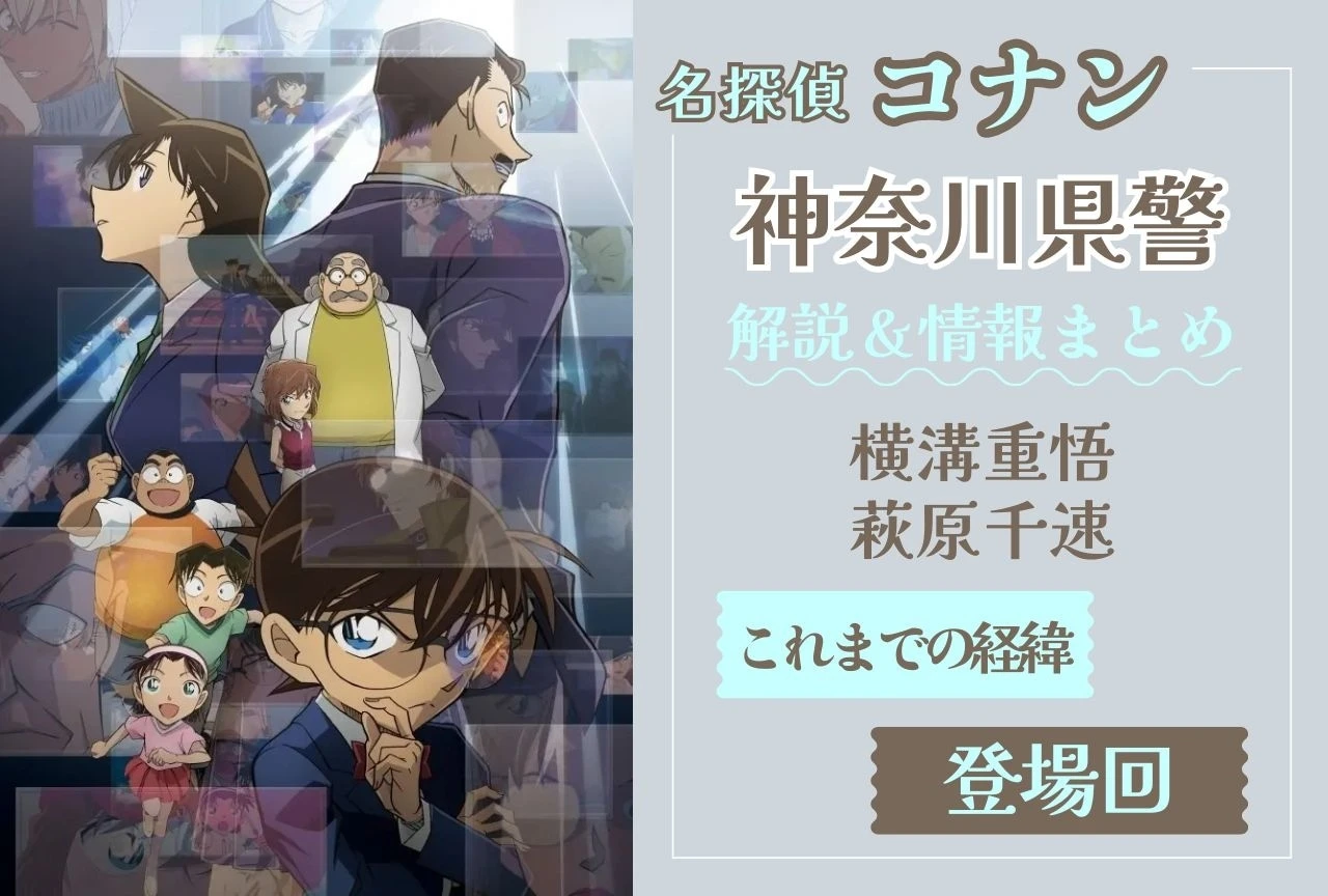 Kanagawa Prefectural Police commentary