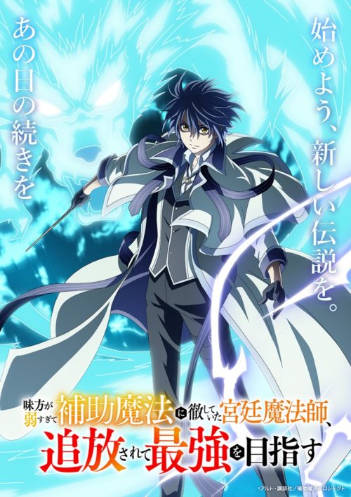 味方が弱すぎて補助魔法に徹していた宮廷魔法師、追放されて最強を目指す