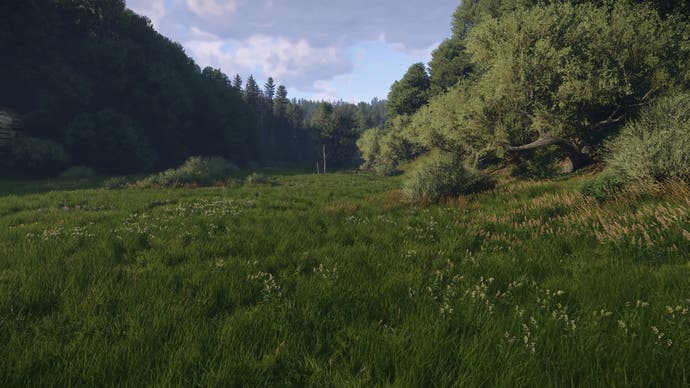 Kingdom Come Deliverance 2: meadow screenshot