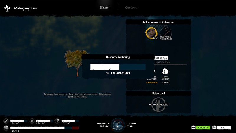 An example of a play screen