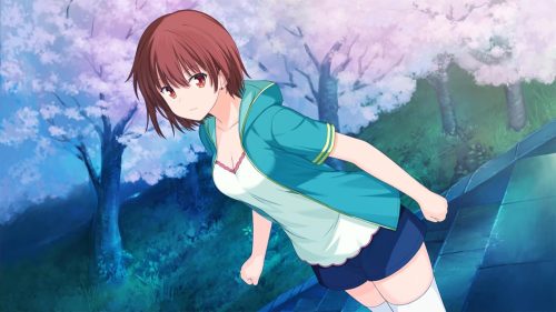 No. 14: A promise to this blue sky - Refine