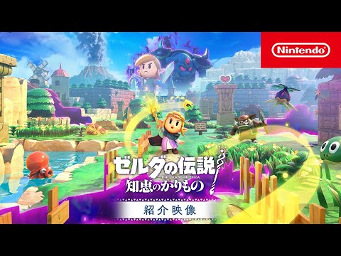 No. 9 The Legend of Zelda: Wisdom Ornament[Switch]